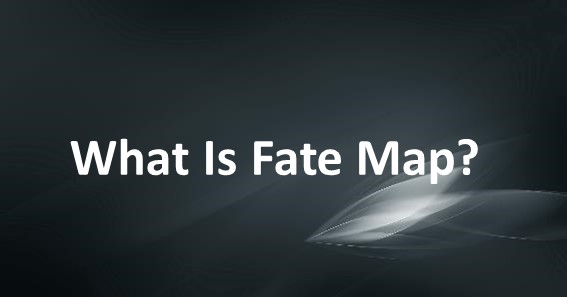 What Is Fate Map